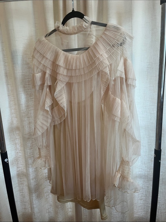 Zara Dresses & Skirts - Zara Pleated Ruffle Sheer Mini Dress in Cream